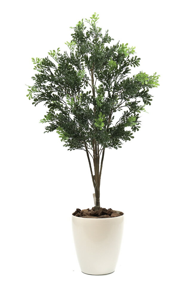 光の楽園 人工観葉植物一点ものグリーン028（トネリコ） 高さ1.3m