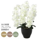光触媒 光の楽園 プレミアム胡蝶蘭W【アートフラワー 造花 コチョウラン】(659K135)【ラッピング不可】