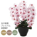光触媒 光の楽園 プレミアム胡蝶蘭P【アートフラワー 造花 コチョウラン】(660K135)【ラッピング不可】