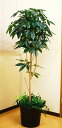 光触媒 人工観葉植物光の楽園 パキラツリー1.6mフェイクグリーン 大型 人工観葉植物 直営店限定商品