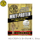 【店内商品3点以上でさらに3％OFFクーポン配布中】GOLD 039 S GYM ゴールドジム ホエイプロテイン ヨーグルト風味 1.5kg F5315 83030