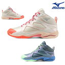 ミズノ MIZUNO フィットネスシューズ ウエーブダイバース LG5 WAVE DIVERSE Ltd 2025年春夏モデル限定カラー