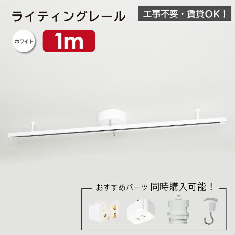 ライティングレール 1m ダクトレー�