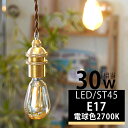 LED電球 E17 30w形 エジソンバルブ LED エジソン電球 ST45 電球 エジソンランプ フィラメント LED エコ 節電 アンバーガラス電球 電球色2700K