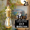 【2個セット】LED電球 E17 30w形 415lm 電球色2700K ナス型 エジソンバルブ エジソン電球 ST45 電球 エジソンランプ フィラメント エ...