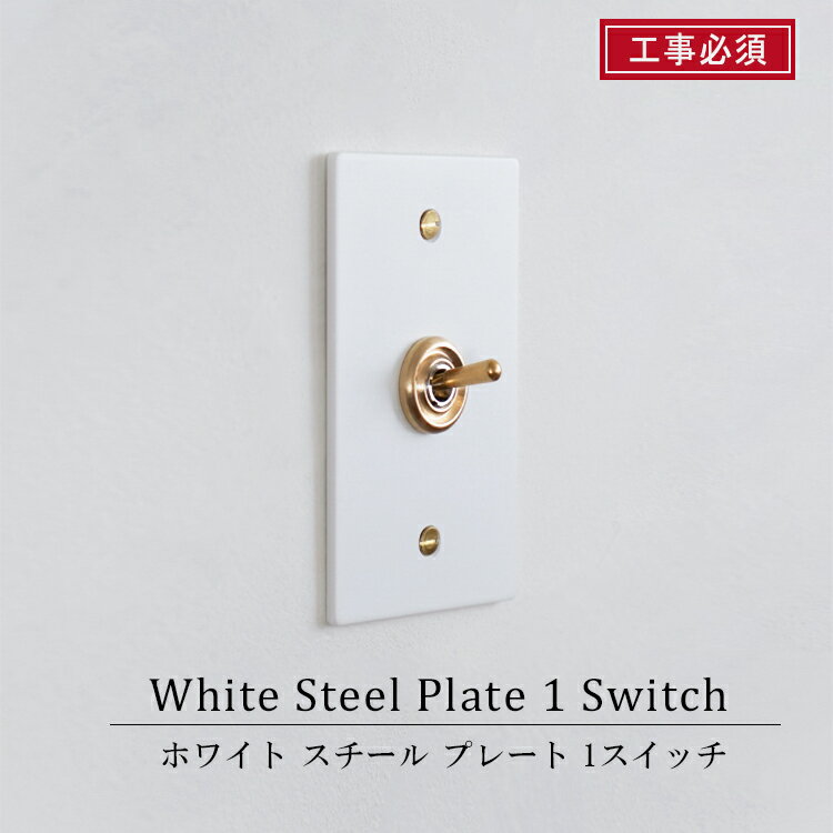 ホワイトスチールプレート 1スイッチ AXCIS axcis 工事必須