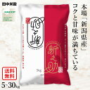 ○田中米穀【選べる5kg 10kg 20kg 30kg】令和6年産 新潟県産 新之助 五つ星お米マイスター監修 白米 精米 送料無料