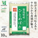 ○【精米仕立て】 令和5年産 福島県産 ひとめぼれ 10kg(5kg×2袋) 送料無料