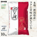 □【送料無料】令和5年産 新潟県産 新之助 10kg(5kg×2袋) 精米仕立て