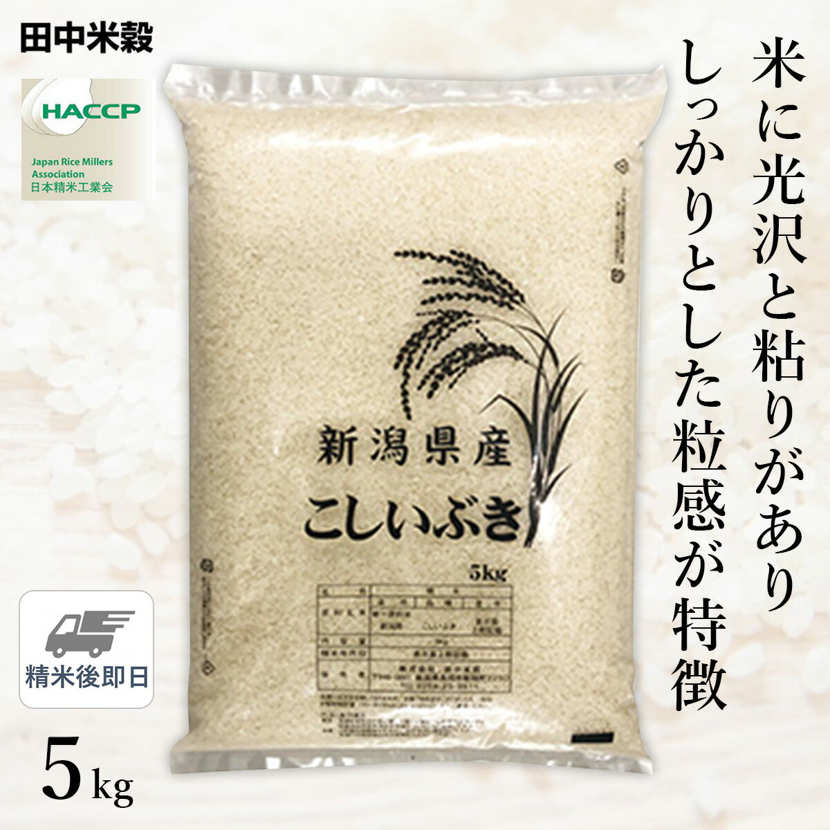 □令和3年産 新潟県産 こしいぶき 5kg(1袋)