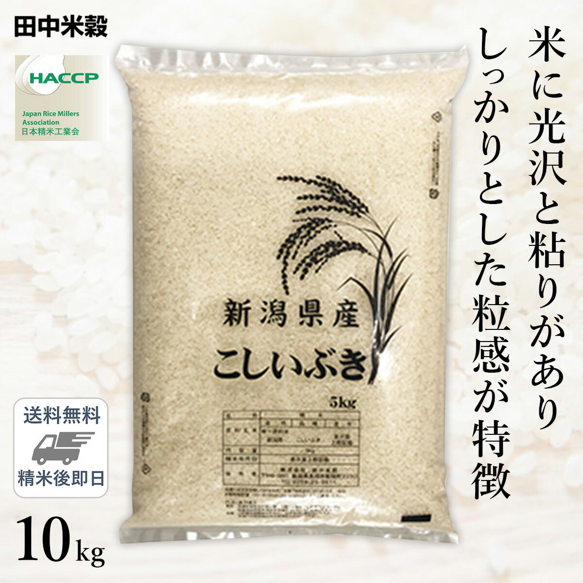 □令和5年産 新潟県産 こしいぶき 10kg(5kg×2袋) 精米仕立て