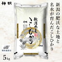 ○令和5年産 新潟県産 コシヒカリ 5kg(1袋) 家計応援米 精米仕立て