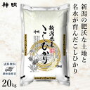 【最短当日出荷 送料無料】令和5年産 新潟県産 コシヒカリ 20kg 5kg 4袋 家計応援米 精米仕立て