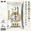 ○ 令和5年産 無洗米 新潟県産 コシヒカリ 5kg(1袋) 家計応援米 精米仕立て