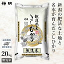 ○令和5年産 無洗米 新潟県産 コシヒカリ 20kg(5kg×4袋) 家計応援米 精米仕立て