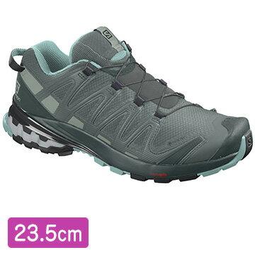 サロモン ［ユニセックス アウトドアシューズ］ FOOTWEAR XA PRO 3D v8 GTX W Balsam Gr/GR　サイズ：23.5 L41274800_23.5