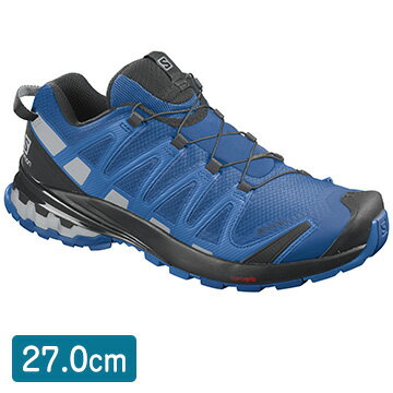 サロモン ［ユニセックス アウトドアシューズ］ FOOTWEAR XA PRO 3D v8 GTX Turkish Se/Bk　サイズ：27 L41274600_27.0