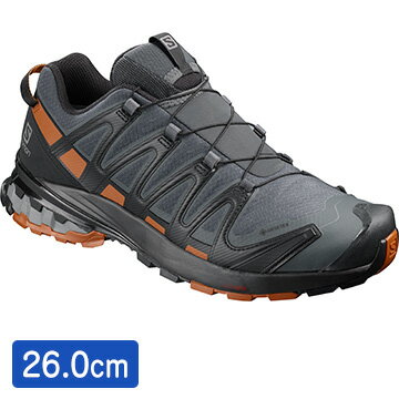 サロモン ［ユニセックス アウトドアシューズ］ FOOTWEAR XA PRO 3D v8 GTX Ebony/Caramel　サイズ：26 L40989200_26.0