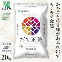 ○【送料無料】令和5