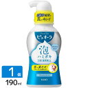 デンタルケアグッズ（予算3000円以内） 花王 ピュオーラ 泡ハミガキ フレッシュミントの香味 190ml 4901301307828