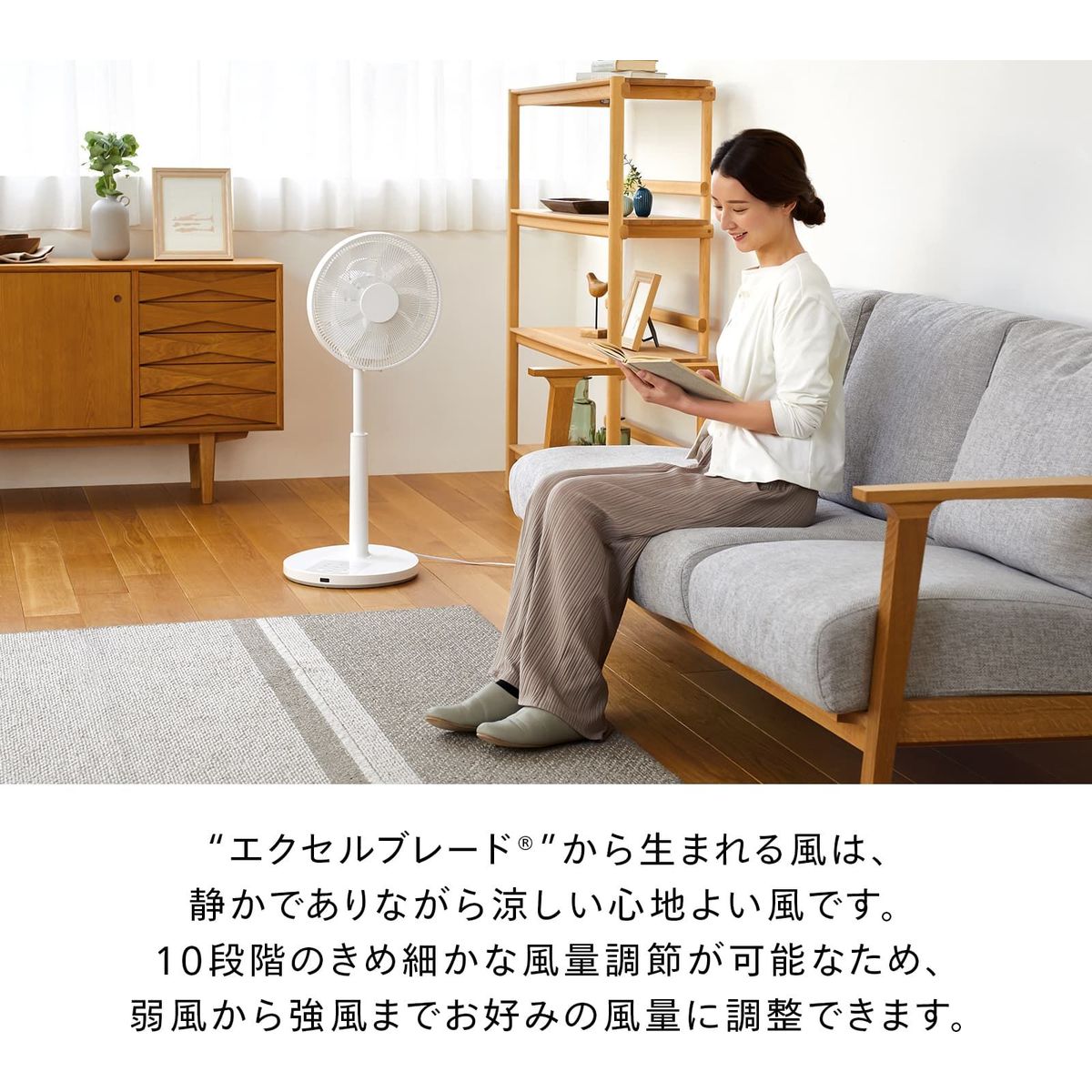 ツインバード TWINBIRD サーキュレーション扇風機 3D首振り リビング扇風機 DCモーター搭載 EF-E951W