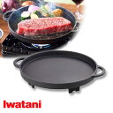 岩谷産業 【在庫処分特価】イワタニ ステーキ 鉄板 プレート カセットこんろ 鋳物 CB-A-STP