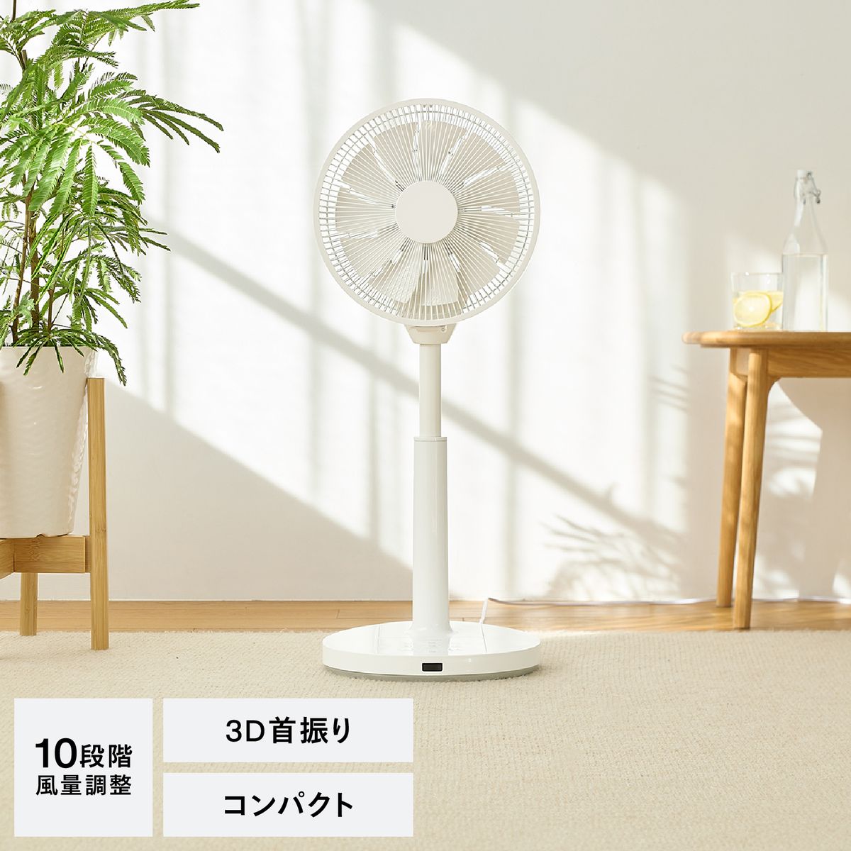 ĥС TWINBIRD 졼 3D Lite ӥ DC⡼ EF-E995W