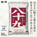 ○令和5年産 北海道産 八十九 (ゆめぴりか) 10kg (5kg×2袋) 精米仕立て