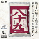 ○令和5年産 無洗米 北海道産 八十九 (ゆめぴりか) 5kg (1袋) 精米仕立て