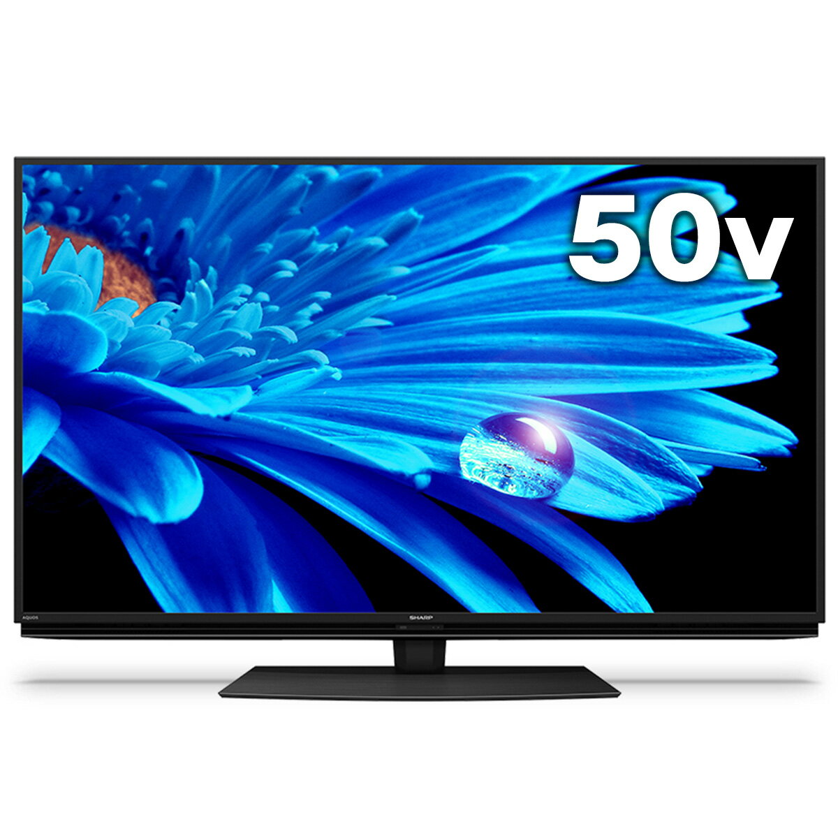 SHARP 㡼 4K AQUOS վƥ 50V ȿ N-blackѥͥ 󿶤 ž ĥ ̥֥ϡ Google TV WiFi6 4T-C50EN2