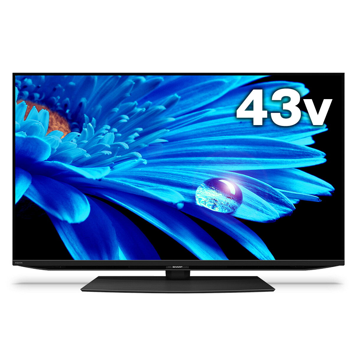 楽天ひかりTVショッピング　楽天市場店SHARP シャープ 4K AQUOS 液晶テレビ 43V型 低反射 N-blackパネル 首振り 回転式スタンド 前向きツイーター 背面サブウーハー Google TV WiFi6 4T-C43EN2