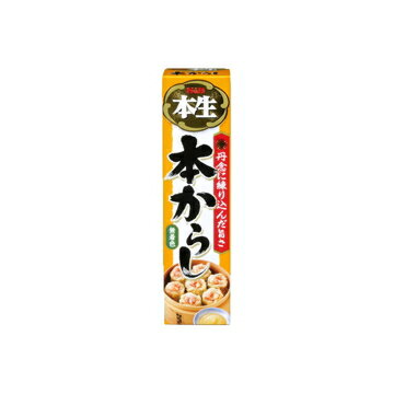 エスビー食品 S＆B 本生 本からし 43g x 10