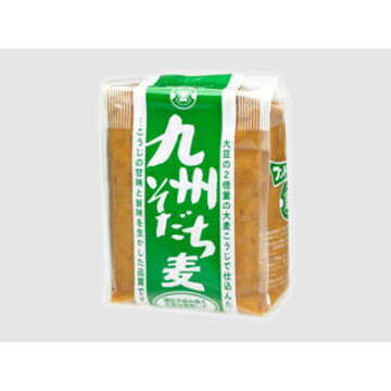 フンドーキン醤油 フンドーキン 九州そだち 麦 1kg x 10