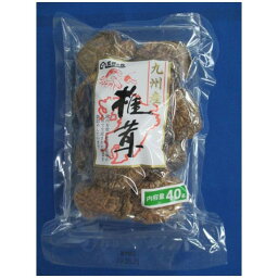 王将椎茸 九州産 椎茸 40g x 10個