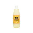 グレープフルーツサワー 1L x 15個
