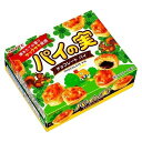 【10個入リ】ロッテ パイノ実 73g