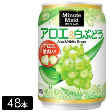 [送料無料]ミニッツメイド アロエ&白ぶどう 280g缶×48本(24本×2箱) ケース売り まとめ買い