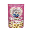 ユニチャーム 銀のスプーンおいしい顔がみられるおやつカリカリたい味60g×30