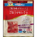 ドギーマンハヤシ ごほうびセレクト 肉バル ビーフのソフトサラミ120g×36袋
