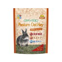 パスチャーオーツヘイ 400g×16
