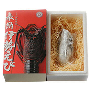 伊勢志摩冷凍 奉納伊勢海老280g 鳥羽浦村産セル牡蠣特大7個 TW2080183353