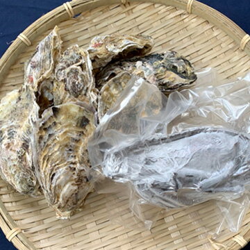 伊勢志摩冷凍 奉納伊勢海老280g 鳥羽浦村産セル牡蠣特大7個 TW2080183353