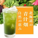 進風 青汁畑4箱(120包)