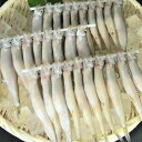 【冷凍】北海道産 ししゃも オス 30尾