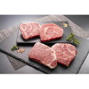 石井食品 【冷凍】【A5等級限定】おかやま和牛ステーキ 600g