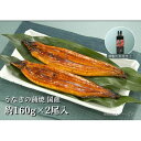 フジ物産 【冷凍】国産 うなぎ蒲焼約160g×2本+特製タレ ギフト箱入 グルテンフリー