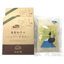 大山恵みの里公社 道の駅大山恵みの里限定 地元産カレー専用米付き!鳥取和牛のハンバーグカレー2食セット