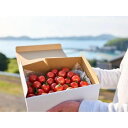 【~2025年 6/30までの期間限定】長崎壱岐の恵みをお届け!「あま壱岐トマト」たっぷり1kg詰合せ