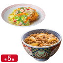 【冷凍】レビュー特典有 吉野家 リンガーハット10袋セット(牛丼・皿うどん 各5袋) お試し 食べ比べ 肉 夜食 時短 ストック 時短 送料無料