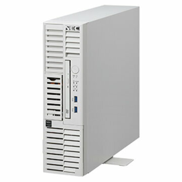 NEC T110k-S Xeon4C/16G/1TB*2/R1/W22 NP8100-2887YPWY
